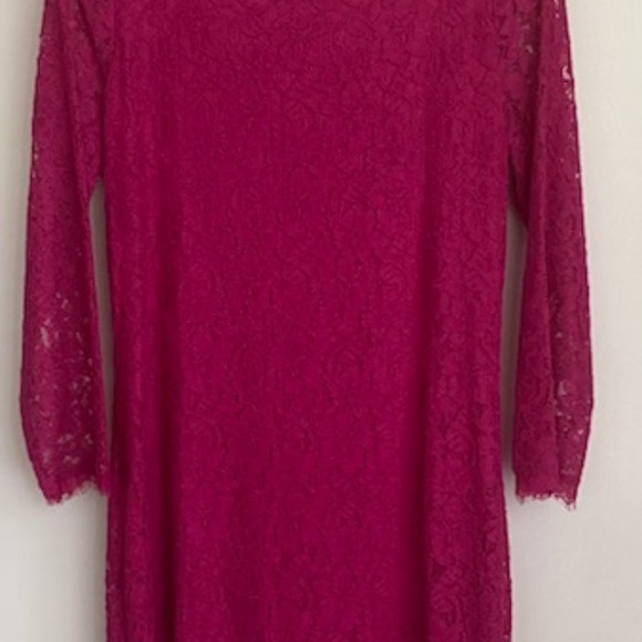 Diane von Furstenberg Zarita Lace Dress - Picture 8 of 13